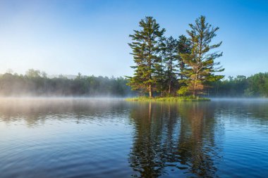 Kuzey Minnesota 'da bir yaz sabahı, çam ağaçları ve sisli güzel sakin bir göl ve ada.