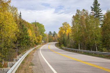 Ely Minnesota yakınlarında sonbahar renginde ağaçların arasında kıvrımlı bir yol aydınlık bir öğleden sonra