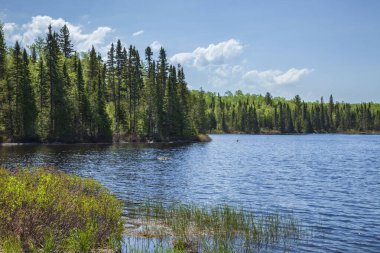 Kuzey Minnesota 'da güzel mavi bir sınır gölü yaz boyunca güneşli bir öğleden sonra