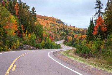 Kuzey Minnesota 'daki Caribou Gölü yakınlarındaki tepelerde kıvrımlı yollar ve renkli ağaçlar