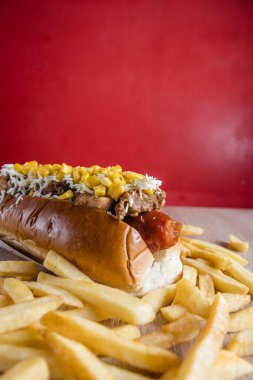 delicious hot dog ready to eat and enjoy with family and friends
