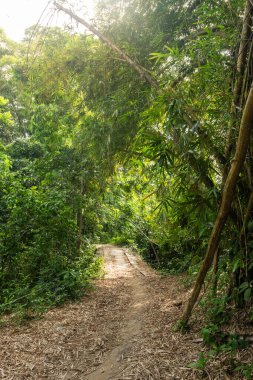 Birçok renkten güzel çiçekler tüm insanlar tarafından beğenilecek ve takdir edilecek.
