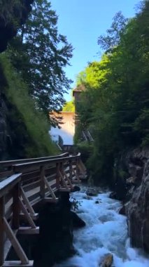 Avusturya Sigmund Thun Klamm Boğazı 'nın büyüleyici güzelliğini gösteren dikey video, doğal güçlerin kaya oluşumları boyunca büyüleyici ve büyüleyici bir yol yonttuğu yer. Hikaye biçimi