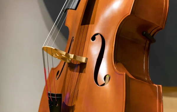 Closeup Contrabass Thick Strings Installed Stage Rehearsal Music Studio — Stock Photo, Image
