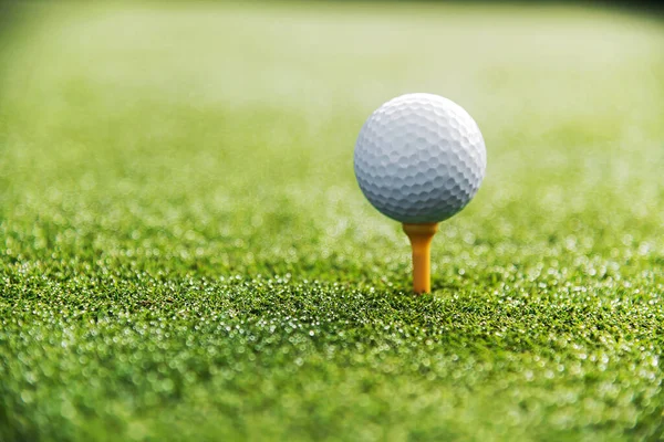 Beyazların Küçük Golf Topunun Yeşil Sahada Vurmaya Hazır Olması — Stok fotoğraf