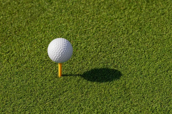 Golf Sahasında Güneşli Bir Günde Yeşil Çimlere Yerleştirilmiş Beyaz Topla — Stok fotoğraf