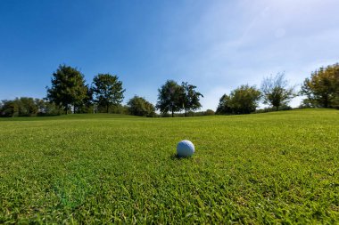 Golf sahasında yeşil çimlerle kaplı beyaz golf topu mavi bulutsuz gökyüzünün altında gün ışığında