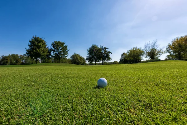 Witte Golfbal Geplaatst Grond Met Groen Gras Golfbaan Helder Daglicht — Stockfoto