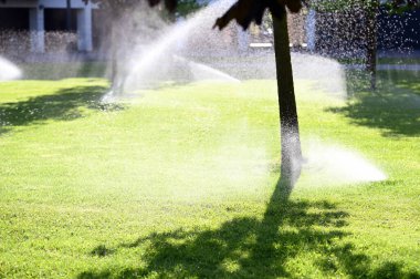 Güneşli yaz günlerinde ağaçlar ve bahçe sulama ile parlak yeşil çimenli çayır