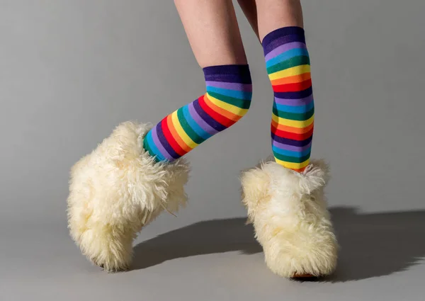 Komik Renkli Çorapları Gölgeli Tüylü Botları Olan Parmak Uçlarında Gri — Stok fotoğraf