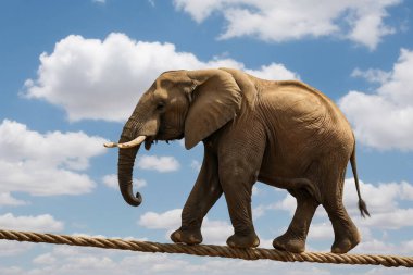 Fil dikkatli bir şekilde ipte yürüyor, dengeyi, meydan okumayı ve engelleri aşmayı temsil ediyor.