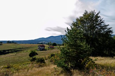 Scene with autumn meadow, forest and residential district of the Bulgarian village of Plana in the Plana mountain with the Rila mountain in the background, Bulgaria  