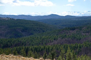 Bulgaristan 'ın Plana Dağı' ndaki Plana köyünün bahar çayırı, orman ve yerleşim bölgesi ve arka planında Rila dağı bulunuyor. 