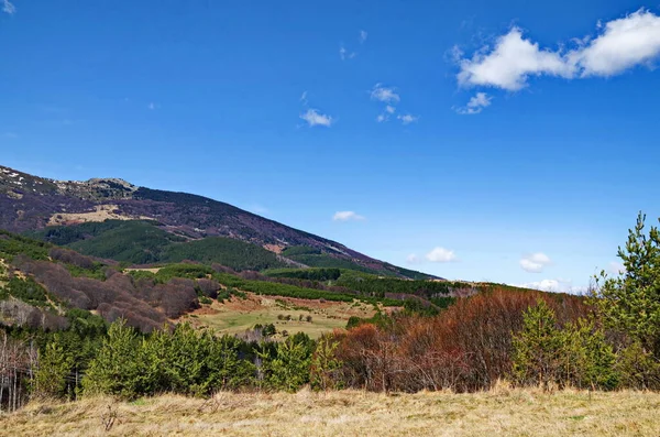 Vackert Landskap Vårglänta Och Skog Vitosha Berg Bulgarien — Stockfoto