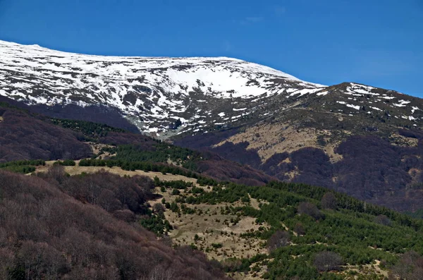 Hermoso Paisaje Claro Primavera Bosque Montaña Vitosha Bulgaria —  Fotos de Stock