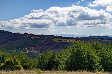 Bulgaristan 'ın Plana Dağı' ndaki Plana köyünün bahar çayırı, orman ve yerleşim bölgesi ve arka planında Rila dağı bulunuyor.  