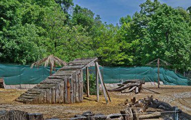 Sofya, Bulgaristan 'da çiftlik bahçesinde dinlenen bir Avustralya kanguru podidae  