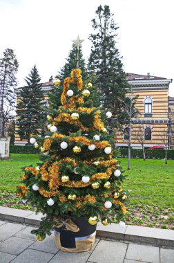 Sofya, Bulgaristan - 10 Aralık 2023: Yeni Yıl 2024 ve xmas, Bulgaristan 'ın Sofya kentindeki bir caddenin kaldırımındaki güzel bir Noel ağacının fotoğrafıyla. Ziyaret yerinde.. 