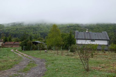 Bulgaristan 'ın Plana köyünün bahar çayırı, orman ve yerleşim bölgesi siste, Plana planina, Bulgaristan  