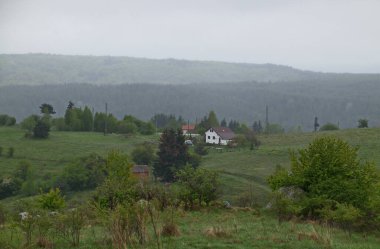 Bulgaristan 'ın Plana köyünün bahar çayırı, orman ve yerleşim bölgesi siste, Plana planina, Bulgaristan  