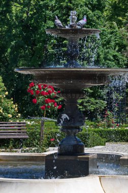 Gül bahçesinde bir bank, bir çeşme ve çiçek açan çalılarla güzel bir dinlenme alanı, Sofya, Bulgaristan