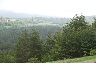 Bulgaristan 'ın Plana köyünün bahar çayırı, karayolu ve yerleşim bölgesi siste, Plana planina, Bulgaristan  