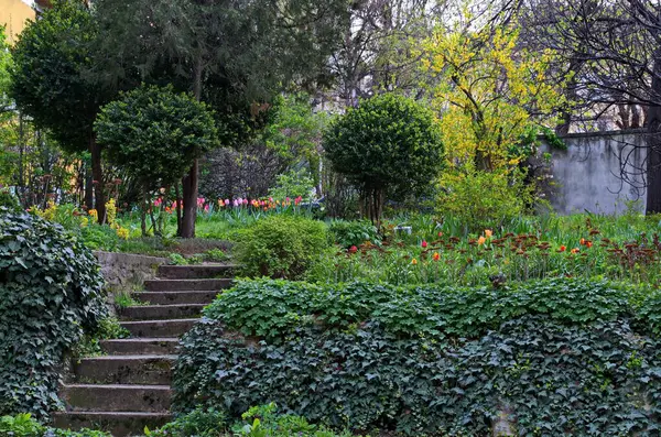 Bol renkli laleleri, yeşil otları ve süslü çalıları ve ağaçları olan geleneksel yerleşim içi bahar bahçesi, Sofya ve Bulgaristan 