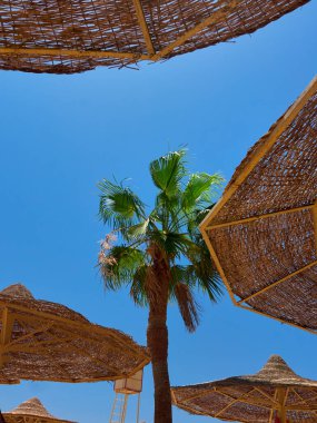 Sahilde hasır şapkalı şemsiyeler..