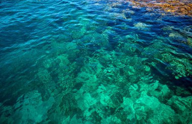 Denizin ve mavi denizin sualtı manzarası