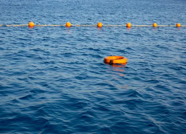 Kızıl Deniz 'de yüzmek için sahili çitle çevreleyen şamandıralar