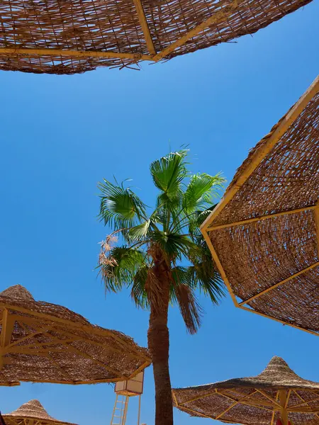 Sahilde hasır şapkalı şemsiyeler..