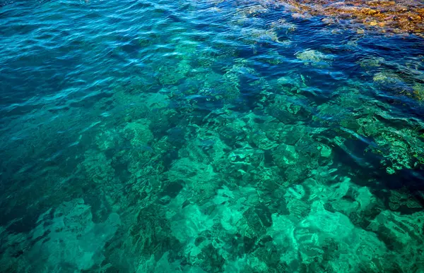 Denizin ve mavi denizin sualtı manzarası