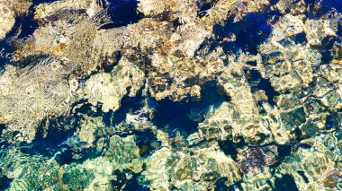 Güzel deniz manzarası