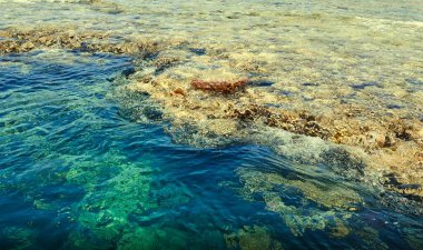Deniz manzarası çok güzel. Doğa