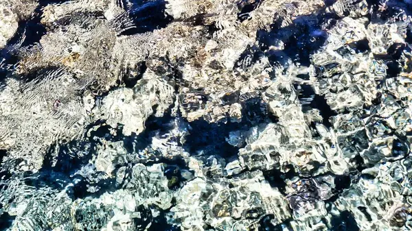 Sanatçılar için arkaplan olarak mercan resifinin bir parçası