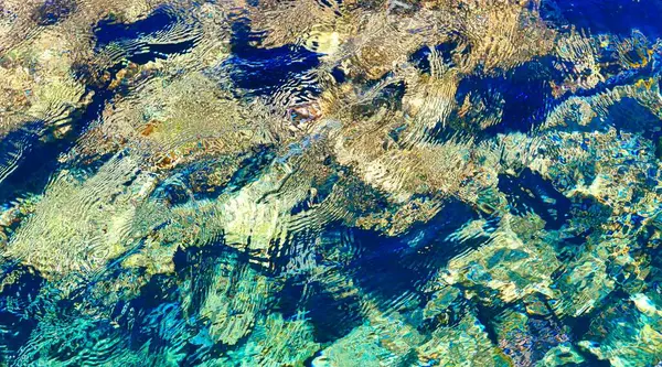 Sanatçılar için arkaplan olarak mercan resifinin bir parçası