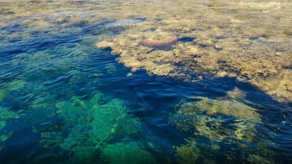 Güzel deniz manzarası