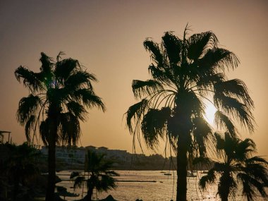 Denizin üzerinde gün batımı