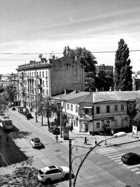 Tarlada yetişen çiçekleri tuzla.                               