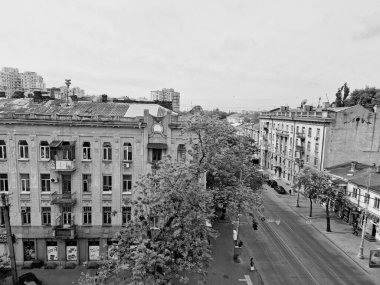 Tarlada yetişen çiçekleri tuzla.                               