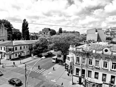 Tarlada yetişen çiçekleri tuzla.                               