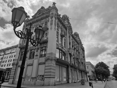 Tarlada yetişen çiçekleri tuzla.                               