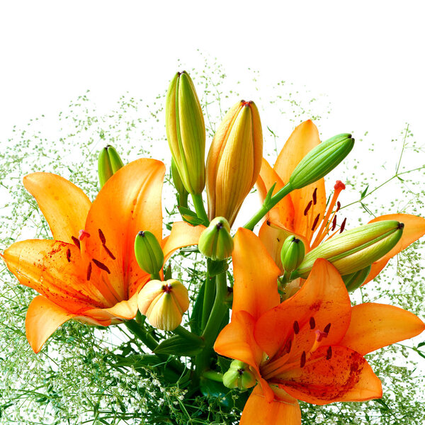 beautiful flowers on background, close up                               