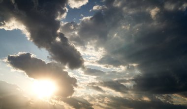 Beyaz arka planda bir buket çiçek