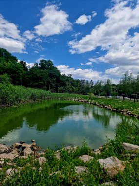 Parktaki nehrin güzel manzarası