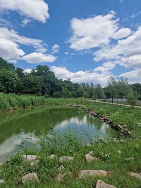 Nehir ve gölü olan güzel bir manzara.