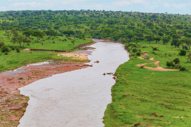 beautiful wild African landscape with a river, palm trees and stones