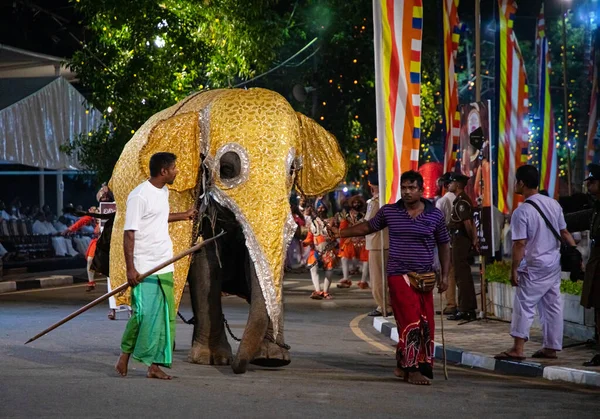 Colombo, Sri Lanka. 06 febfuary 2023. large carnival festive procession with elephants and dancers in bright national costumes through the streets of Colombo