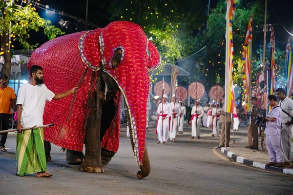 Colombo, Sri Lanka. 06 Şubat 2023 Colombo sokaklarında filler ve dansçılarla dolu büyük bir karnaval aldır.