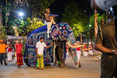 Colombo,Sri Lanka. 06 Şubat 2023. Ulusal kostümlü sanatçılar, tüylü filler ve dindar insanların Colombo 'daki görkemli bir geçit töreni.